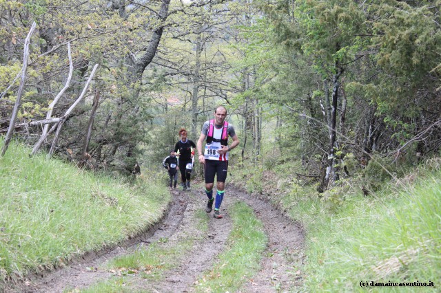 Eco Trail Dama Casentino tra i Borghi di San Francesco e Michelangelo 320