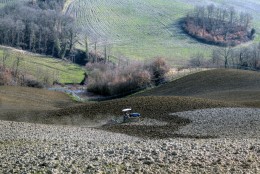 0504 Tempo di semina