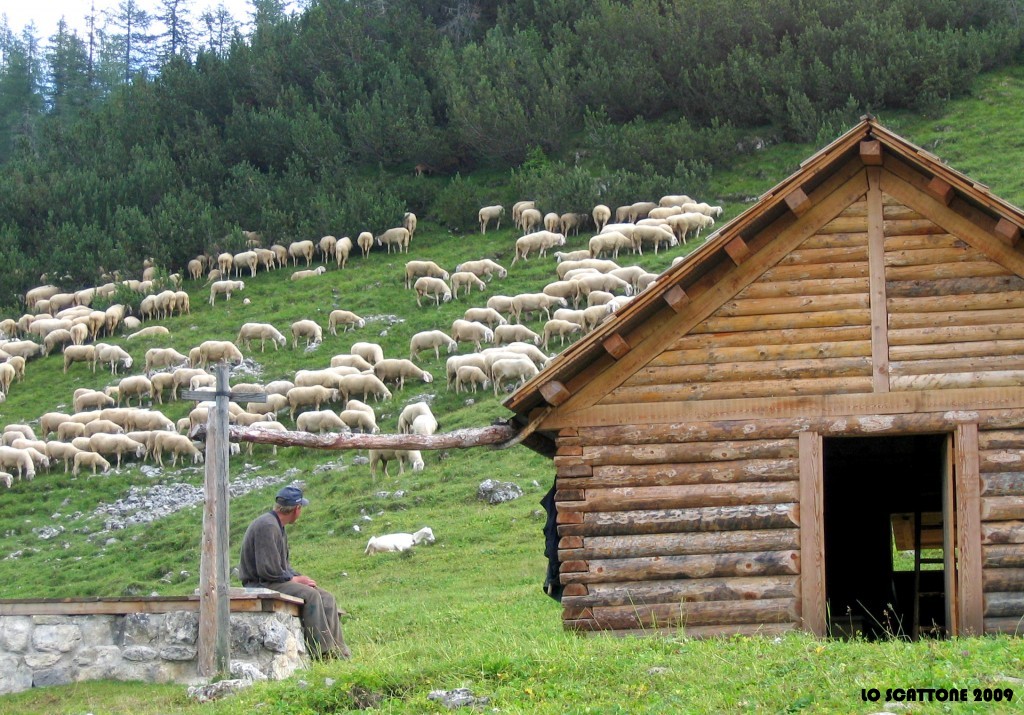 0202 Malga campo Lussi - Asiago (Vi)