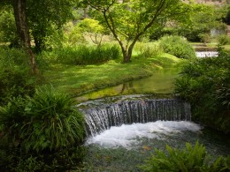 1304 La terra feconda sembiosi di emozioni - Ninfa