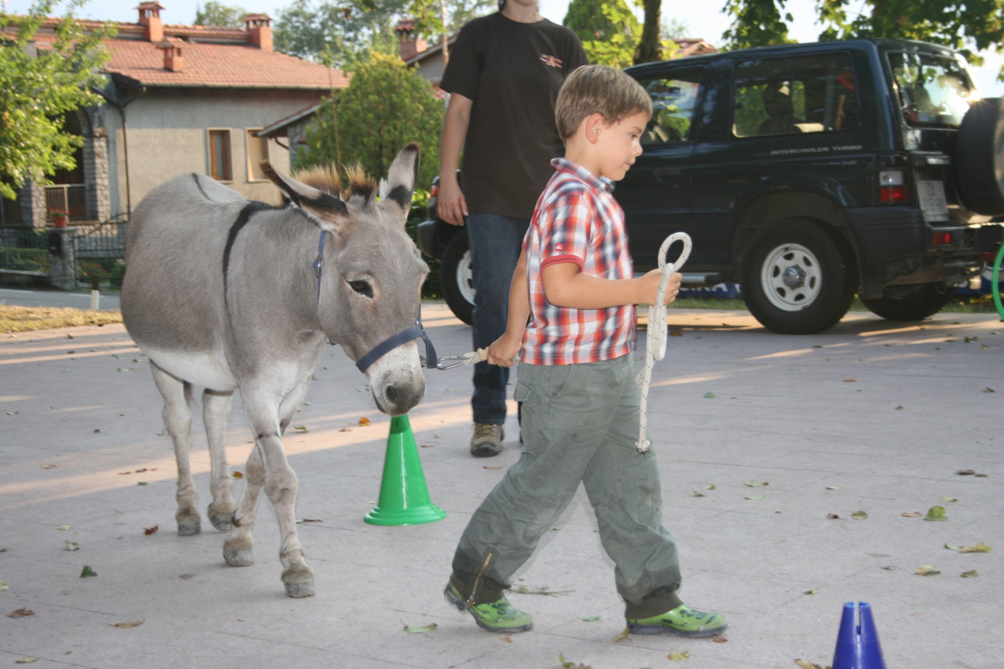 I Ciuchini a Dama (34)