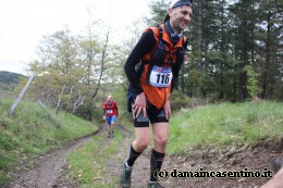 Eco Trail Dama Casentino tra i Borghi di San Francesco e Michelangelo 242