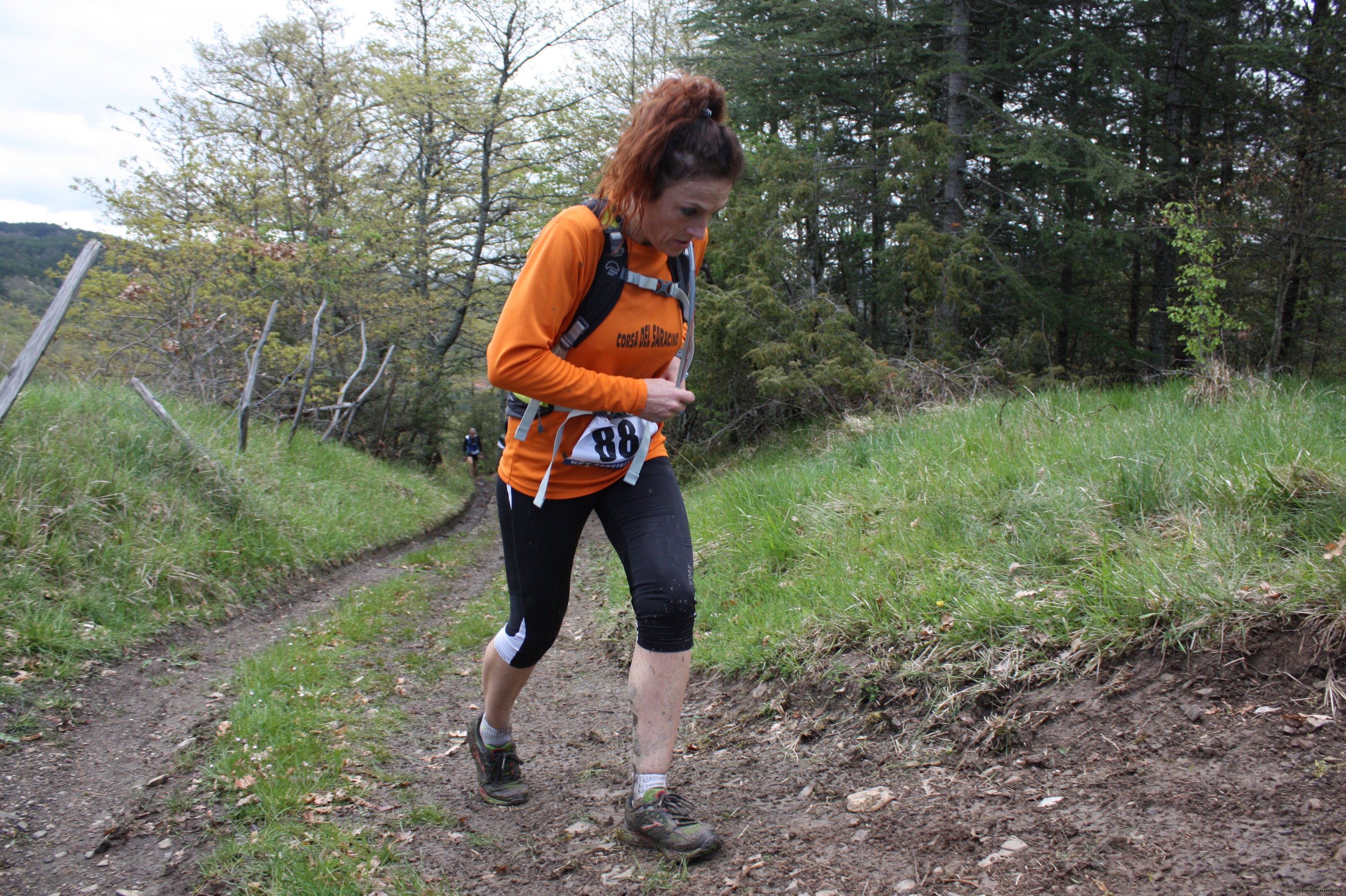 Eco Trail Dama Casentino tra i Borghi di San Francesco e Michelangelo 297