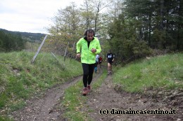 Eco Trail Dama Casentino tra i Borghi di San Francesco e Michelangelo 308