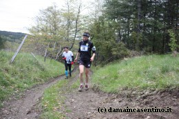 Eco Trail Dama Casentino tra i Borghi di San Francesco e Michelangelo 310