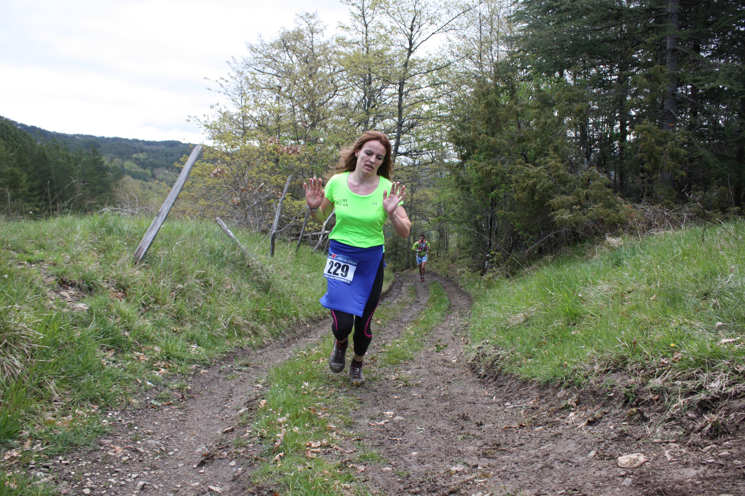 Eco Trail Dama Casentino tra i Borghi di San Francesco e Michelangelo 335