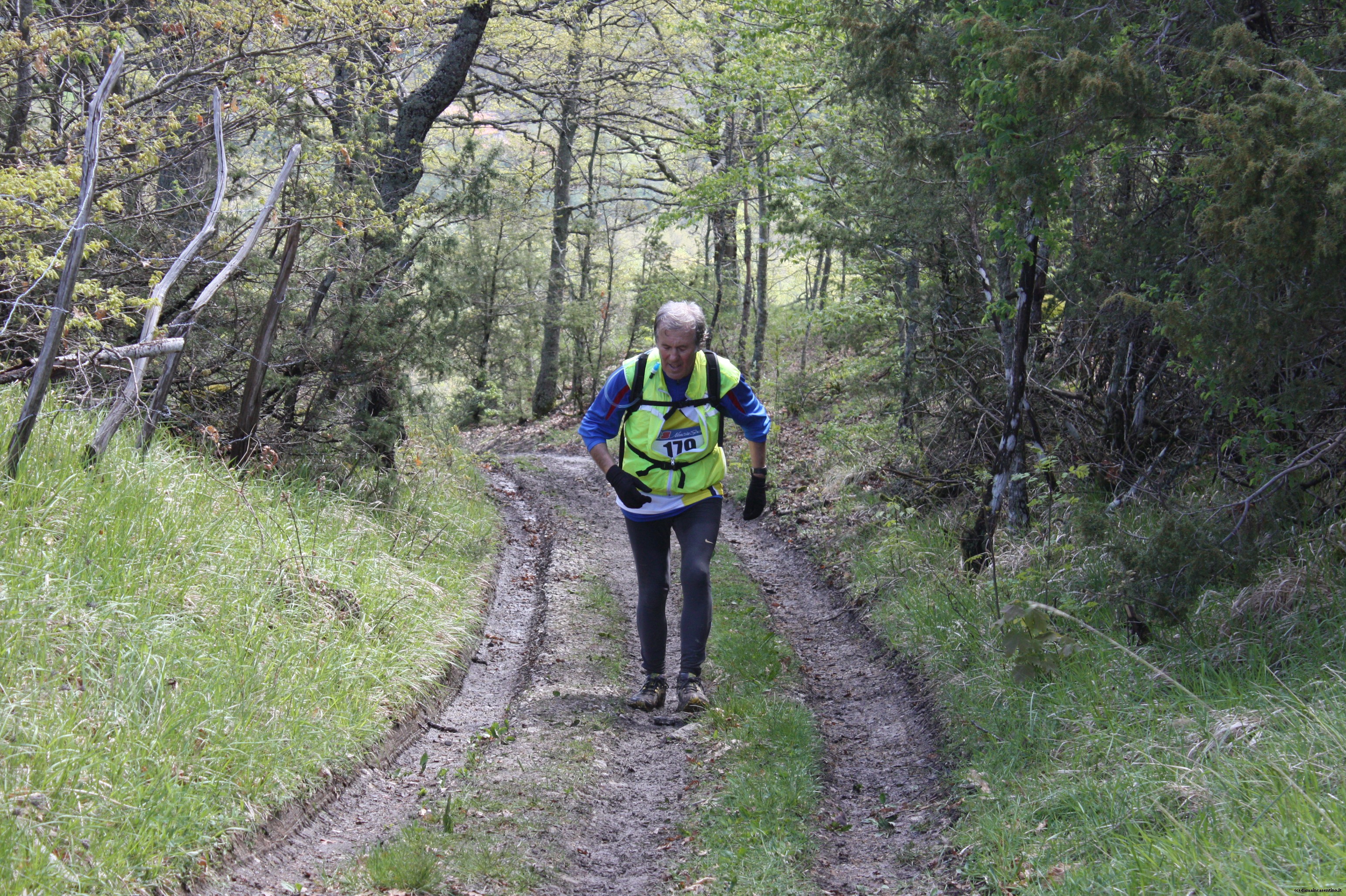 Eco Trail Dama Casentino tra i Borghi di San Francesco e Michelangelo 403