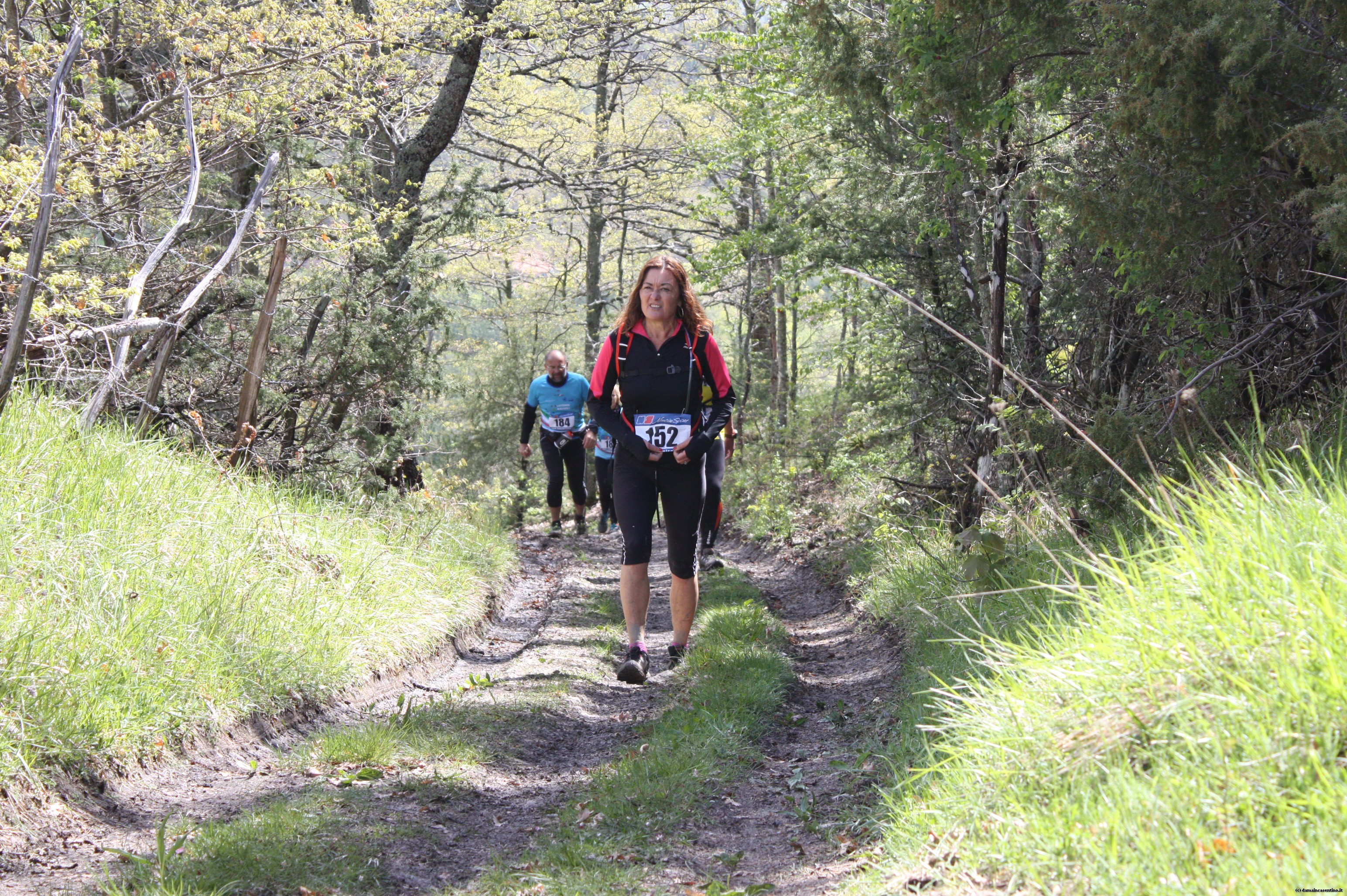 Eco Trail Dama Casentino tra i Borghi di San Francesco e Michelangelo 420