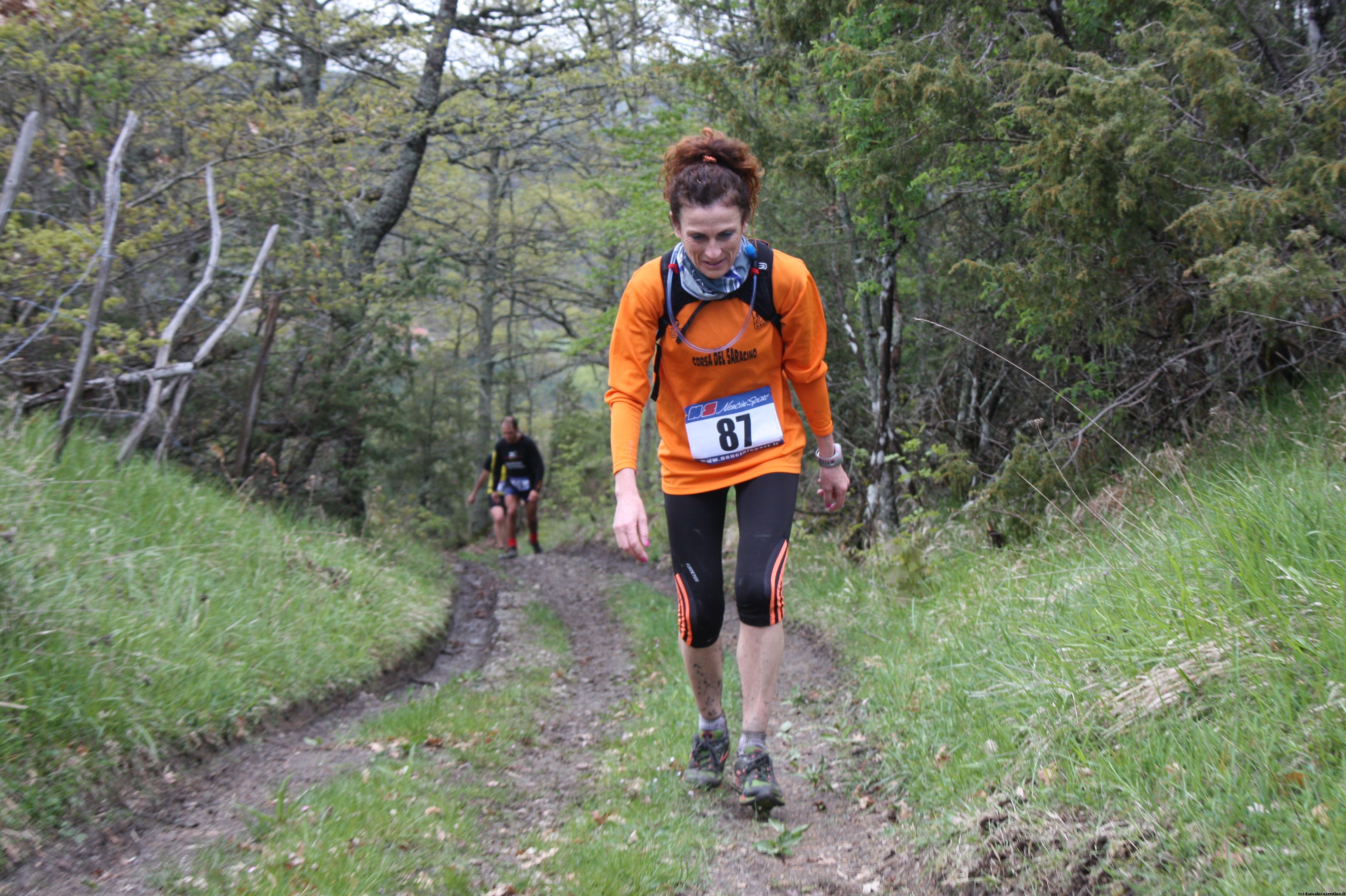 Eco Trail Dama Casentino tra i Borghi di San Francesco e Michelangelo 207