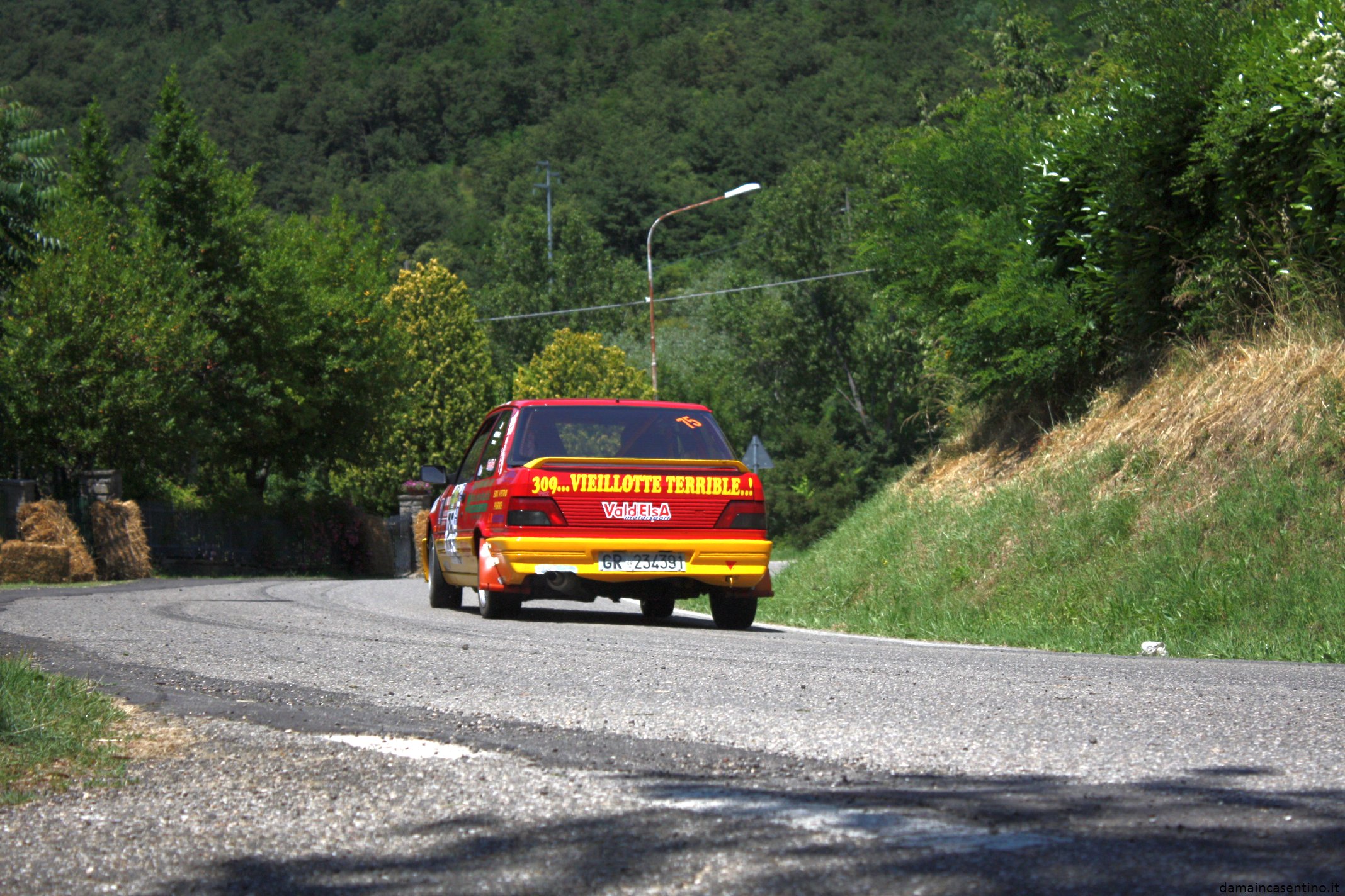 30 Rally Casentino 2010 Foto 113