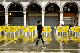 30 1 Stefania Monsini Black and yellow Venezia